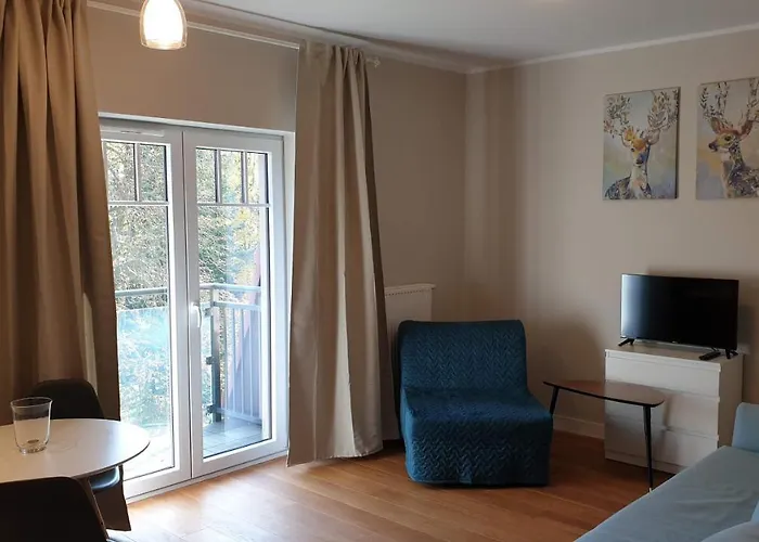 Park View Zdroj Apartment *